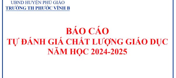 Báo cáo tự đánh giá CLGD 2024-2025